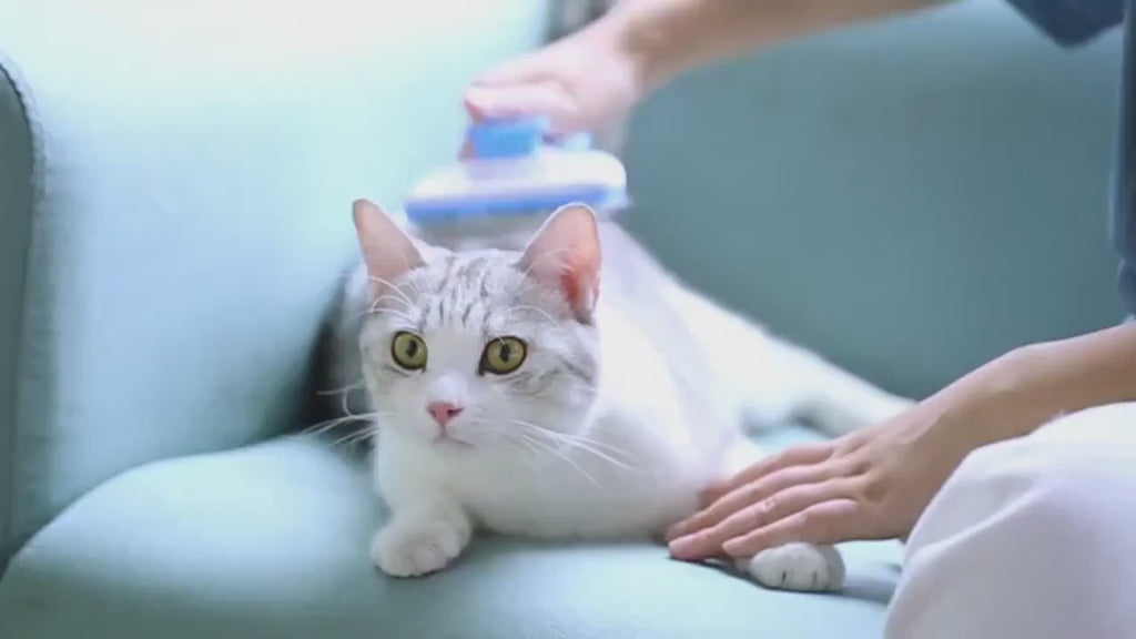 Deshedding Brush