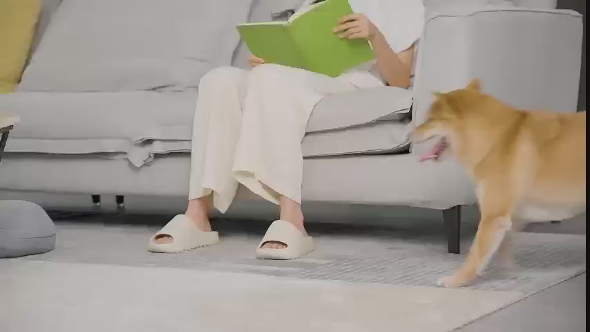 Pet Grooming Kit