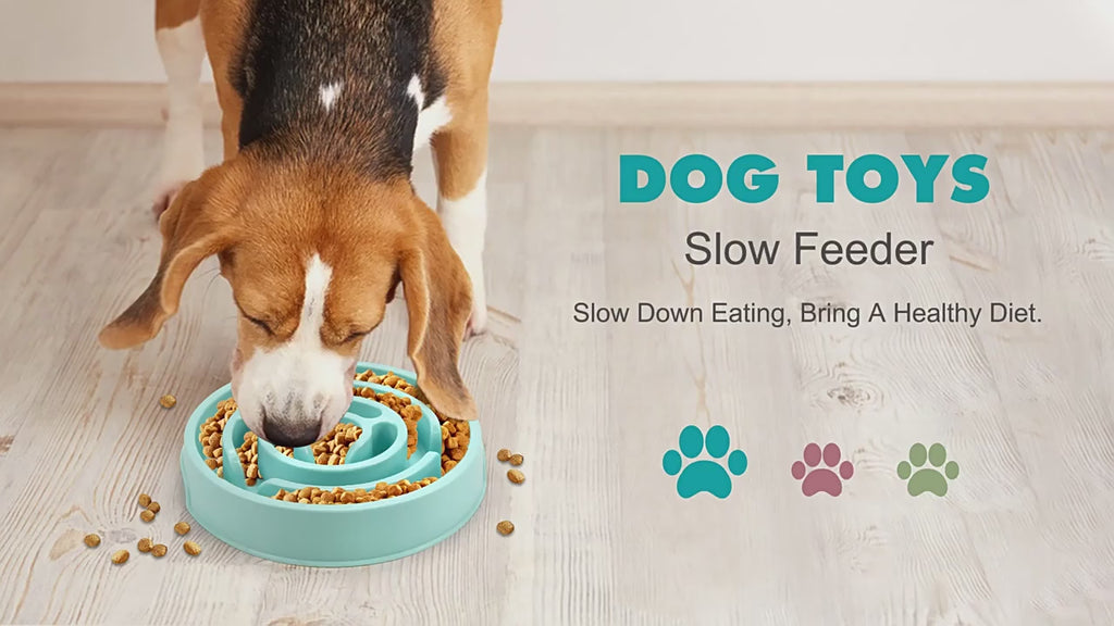 Slow Feeder Bowl