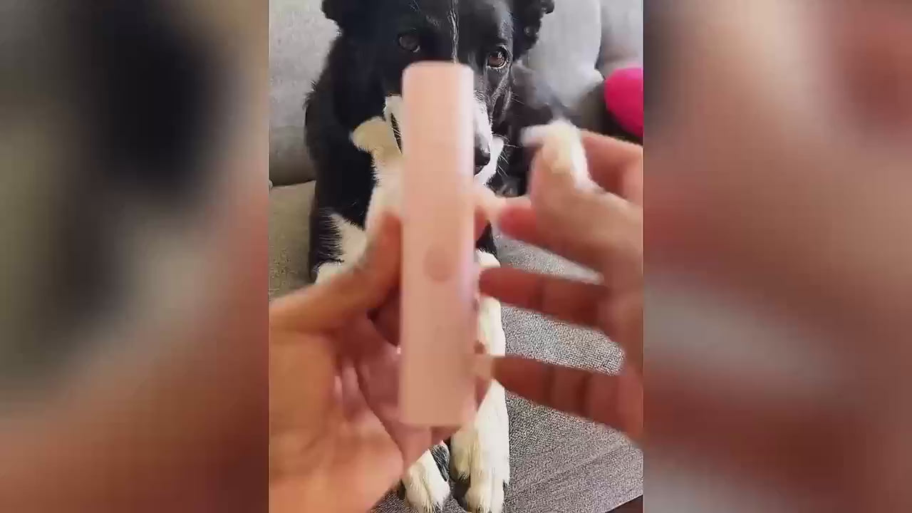 Pet Nail Grinder