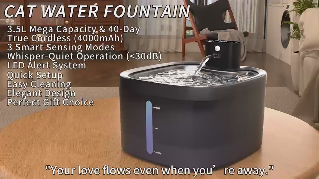 Pet Water Fountain