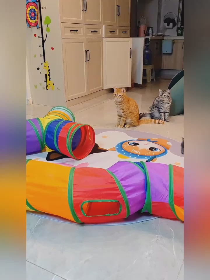 Tunnel Toy